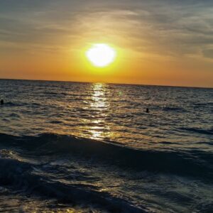 Dopamine Detox Course
